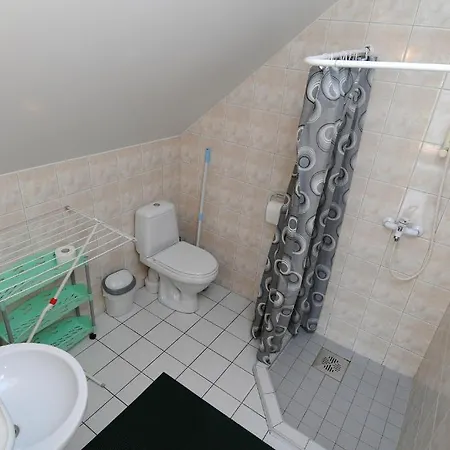 Ene Guest house *